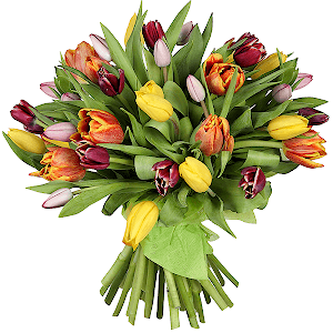 Тюльпаны.png