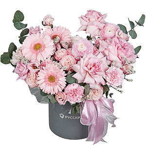 Pink Fireworks with delivery Stavropol