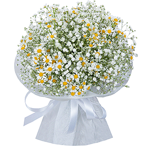 Serene day with delivery Stavropol