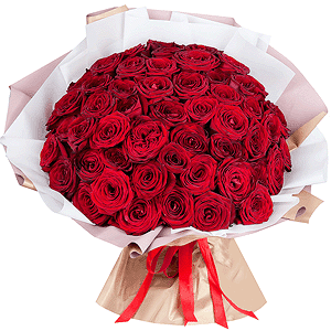 Scarlet Sails with delivery Stavropol