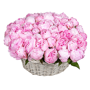 Peony pink - 83, Medium Basket, Oasis