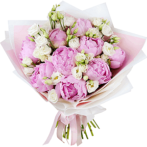 Pink champagne with delivery Stavropol