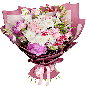 Amelie with delivery Stavropol