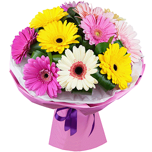 Playful gerberas with delivery Stavropol