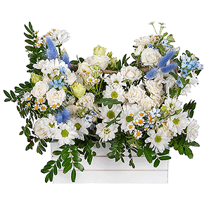 Blue-Eyed Beauty with delivery Stavropol