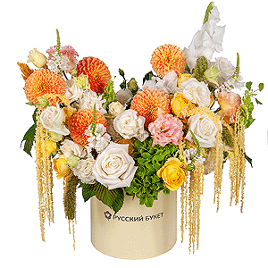 Golden-Crowned  Russia with delivery Stavropol