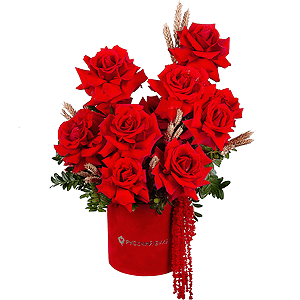Russian Classics with delivery Stavropol