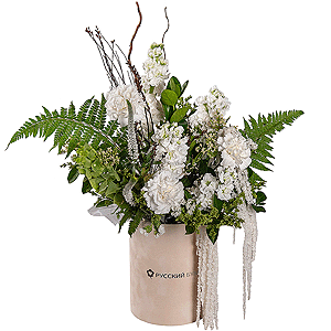 Kupala&rsquo;s Star with delivery Stavropol