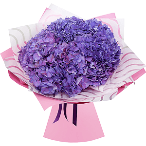 Bouquet of lilac hydrangeas with delivery Stavropol