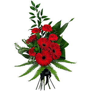 Carnation red - 8, Gerbera red - 7, Ambrella, Ruscus italian, Ruscus, Aspidistra (1 pc.), Ribbon