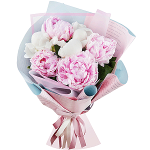 Delicate peonies with delivery Stavropol