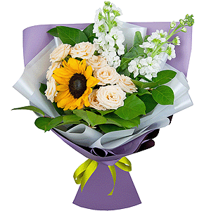 Mystery with delivery Stavropol