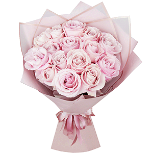 Rose Pink 50 cm Ecuador (Chelo, Hermosa, Novia, Titanik, Engagement, Pink Mondiale) - 25, Wrapping Paper