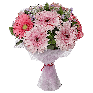 Gerbera pink - 13, Gypsophila - 2, Ruscus, Blue Statice, Felt, Ribbon