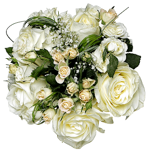 Real Feelings with delivery Stavropol