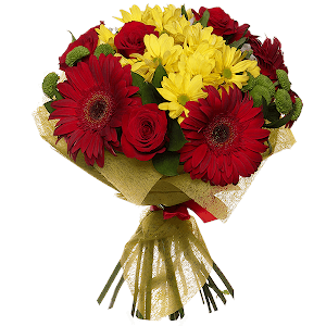 Flamenco with delivery Stavropol