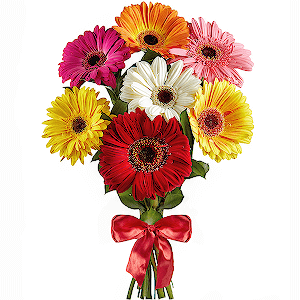 Bright Smile with delivery Stavropol