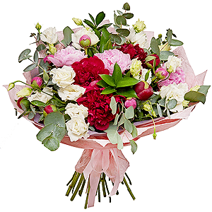 Sensation with delivery Stavropol