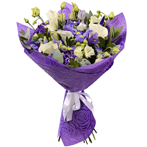 Sky high with delivery Stavropol