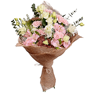 Lacy dreams with delivery Stavropol