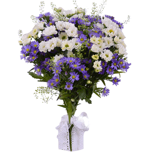 Gentle words with delivery Stavropol