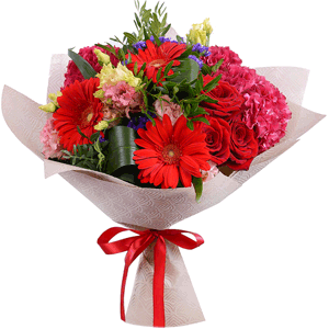 Ruby Dutchess with delivery Stavropol