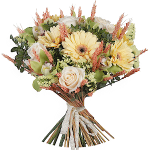 Presents of Nature with delivery Stavropol