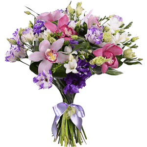 Arrangement of orchids and freesia with delivery Stavropol