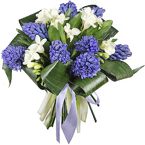 Aromatic Etude with delivery Stavropol