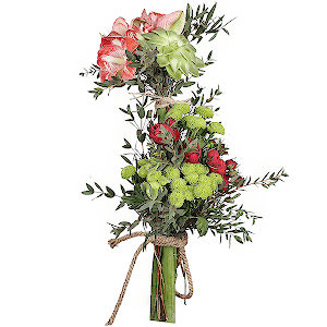 Exotic with delivery Stavropol