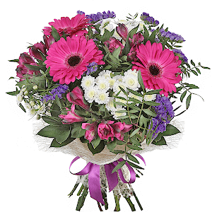 Brilliant with delivery Stavropol