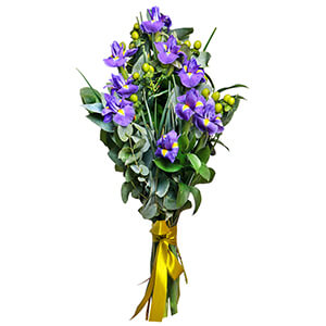 Irises - 15, Hypericum, Eucalyptus parvifolia (1 pc.), Ruscus, Ribbon