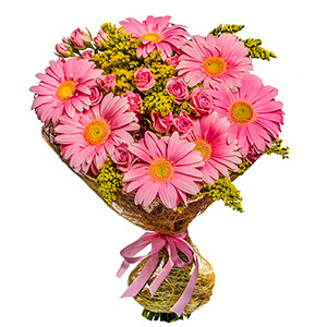 First Love with delivery Stavropol