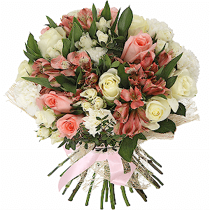 Renaissance with delivery Stavropol
