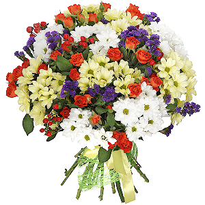 Wonderful valley with delivery Stavropol