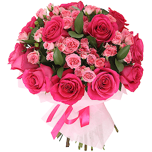 Raspberry sweetness with delivery Stavropol