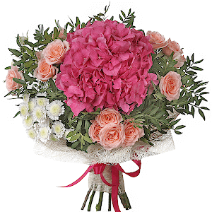 In the Centre of Attention with delivery Stavropol
