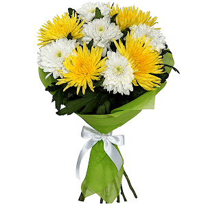 Yellow chrysanthemum  single-headed Anastasia - 6, Magnum White Chrysanthemum - 7, Felt, Ribbon
