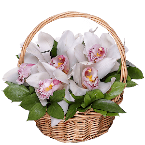 Perl of Soul with delivery Stavropol