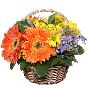 Blossoming Meadow with delivery Stavropol
