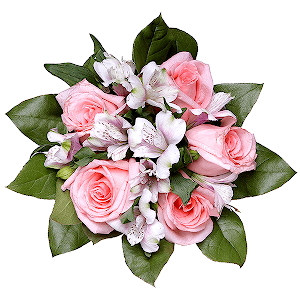 The Happiest with delivery Stavropol