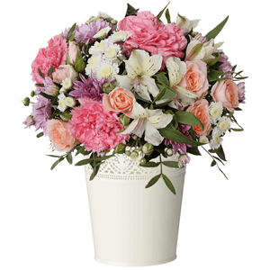 Magic with delivery Stavropol