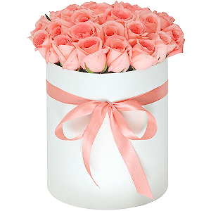 Fascination with delivery Stavropol