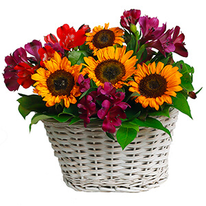 Warm Evening with delivery Stavropol