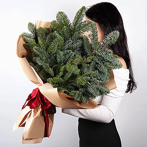 The Scent of Winter Dreams with delivery Stavropol
