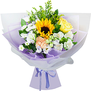 Bright highlights with delivery Stavropol