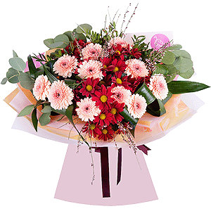 Diva with delivery Stavropol