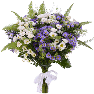 Starry Sky with delivery Stavropol