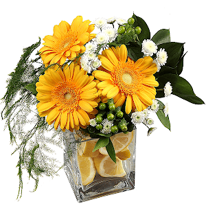 Gerbera yellow - 5, Athos poms Stallion - 2, Hypericum, Asparagus setaceus (1 pc.), Ruscus, Transparent vase, Lemon, 1 pc., Oasis