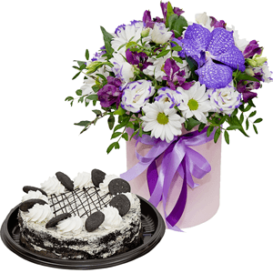 Air castle with cake with delivery Stavropol